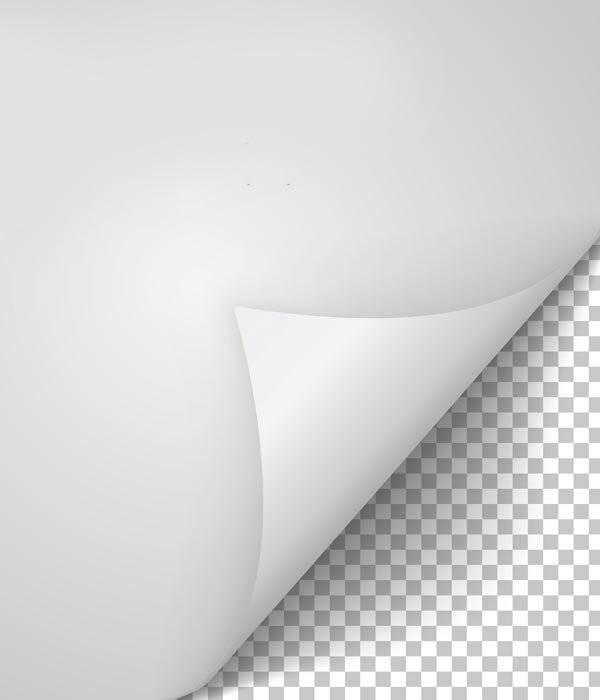 Window Clings - Image 3